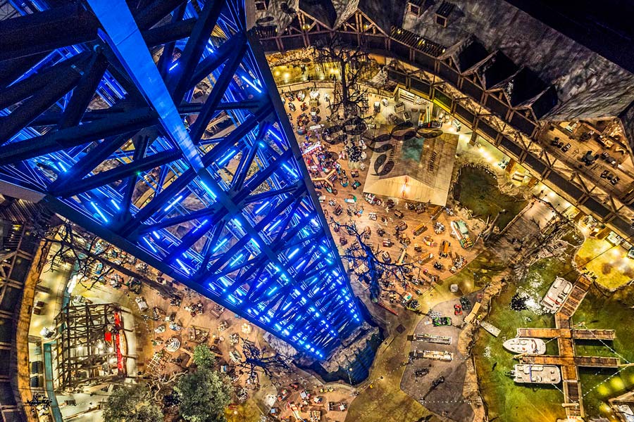 Sky High Ride - view of the cypress swamp