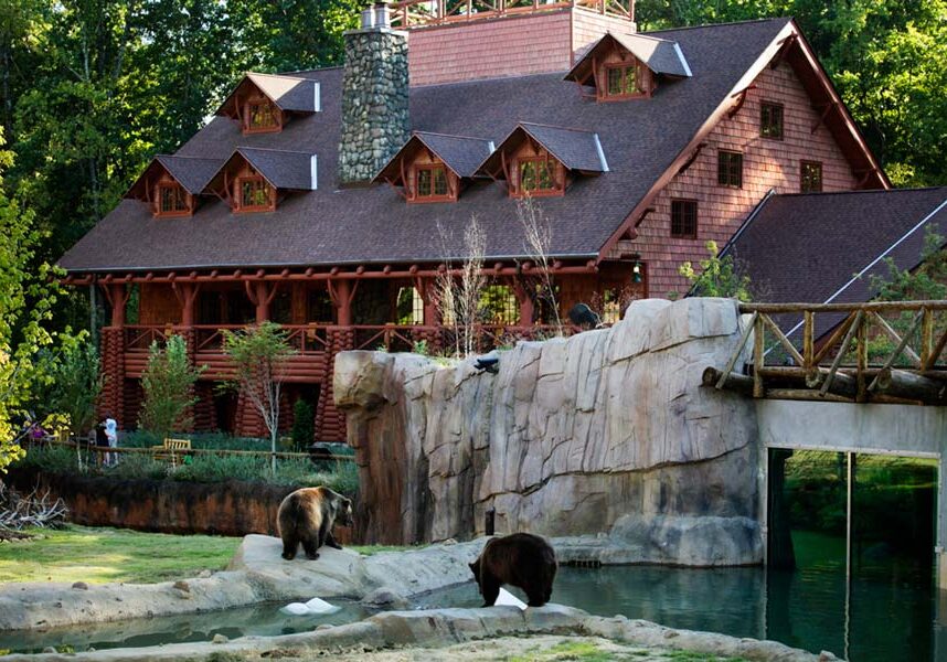 Bears at The Memphis Zoo
